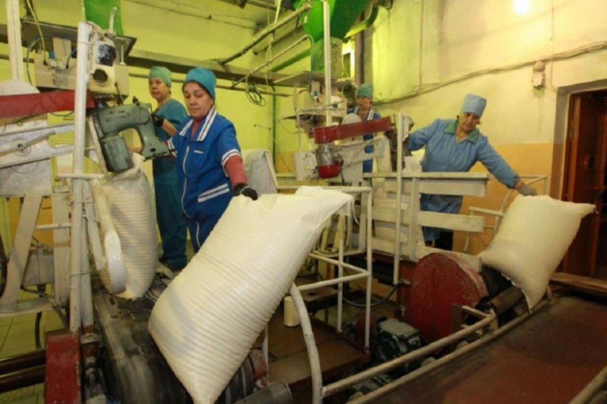    Фото: Минсельхоз РБ, источник: proural.info