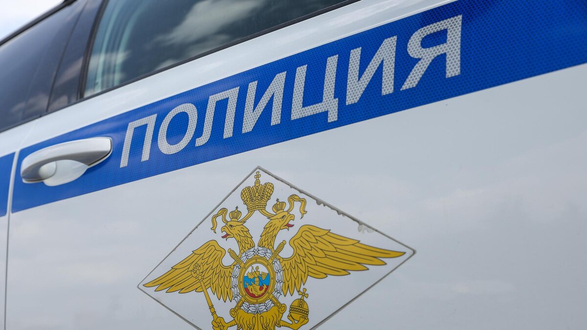    Фото: Petrov Sergey/globallookpress.com