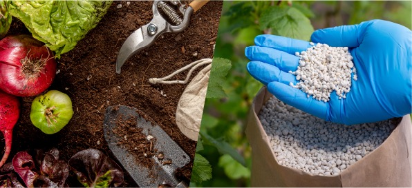 Компост или минеральные удобрения? Давайте не будем мучить себя проблемой выбора, а просто научимся использовать удобрения правильно.