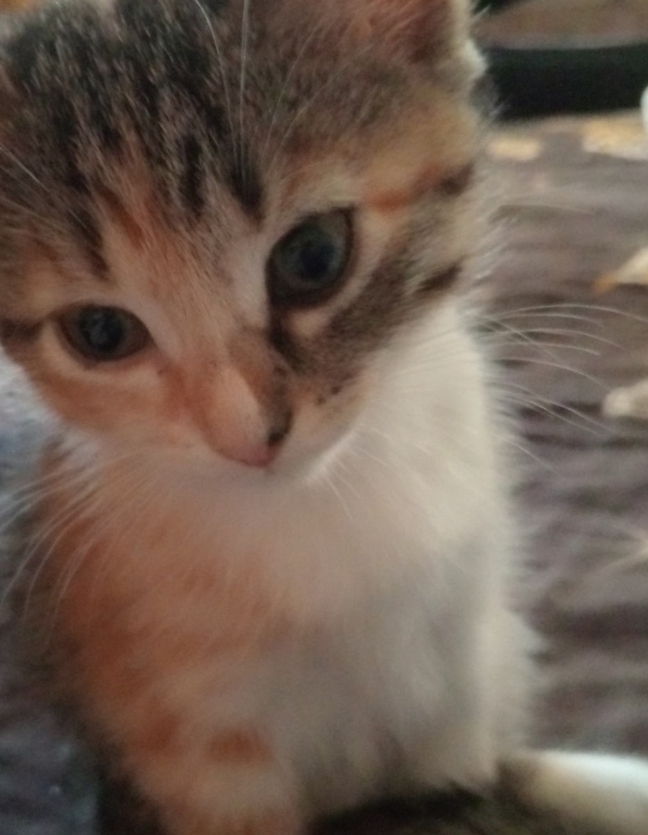 Это наша красотка Марусенька!