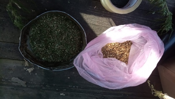 Растения и готовая продукция направлены на экспертизу