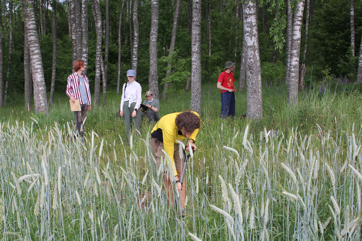 Начало полевых работ на выбранной площадке, характеризующей современные сельскохозяйственные угодья. Источник: Елена Тихонова