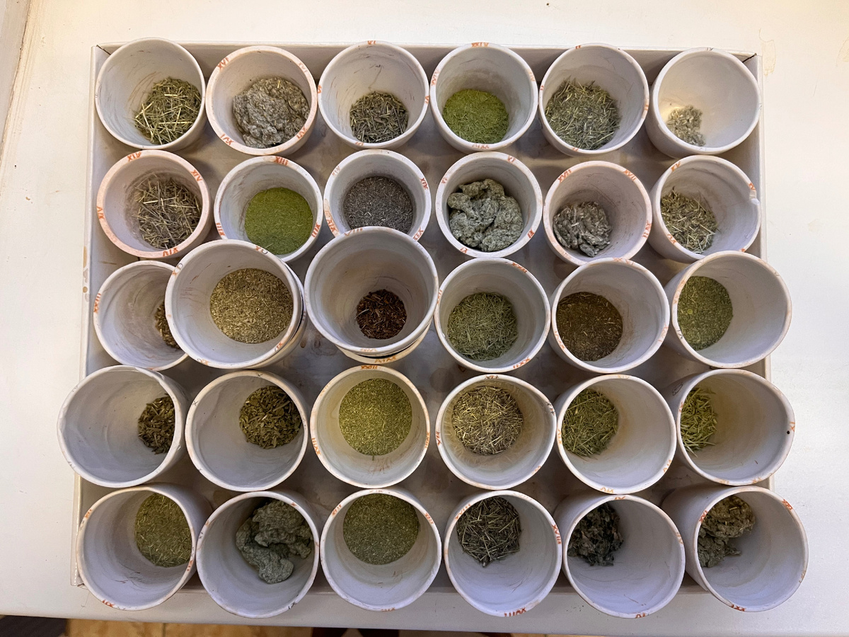 Подготовка проб к определению содержания углерода. Источник: Полина Енчилик