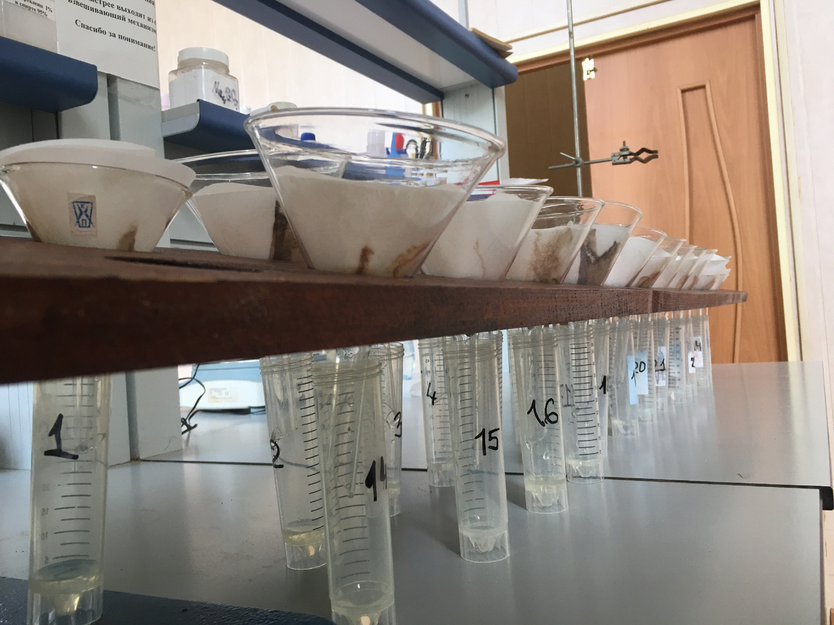 Фильтрация водной вытяжки из почв. Источник: Полина Енчилик