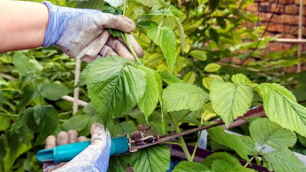 Фото использовано в качестве иллюстрации. Источник Яндекс-картинки