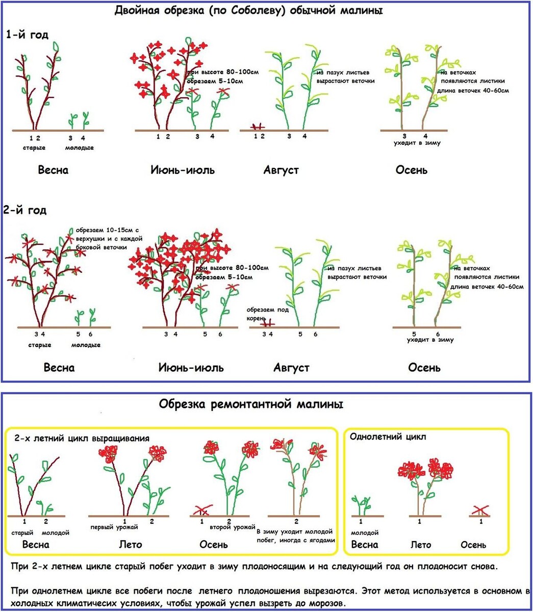 Фото использовано в качестве иллюстрации. Источник Яндекс-картинки