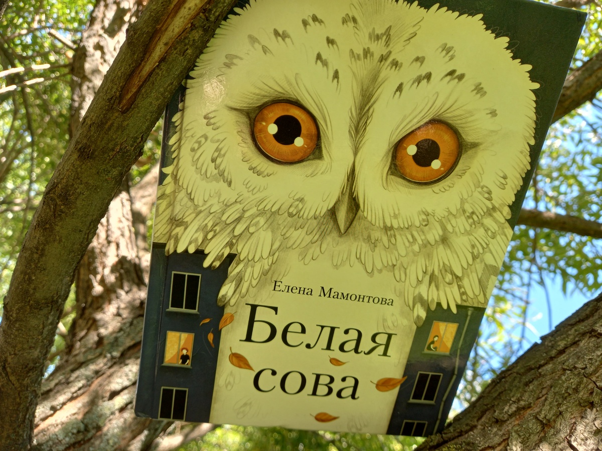 издательство "Стрекоза"