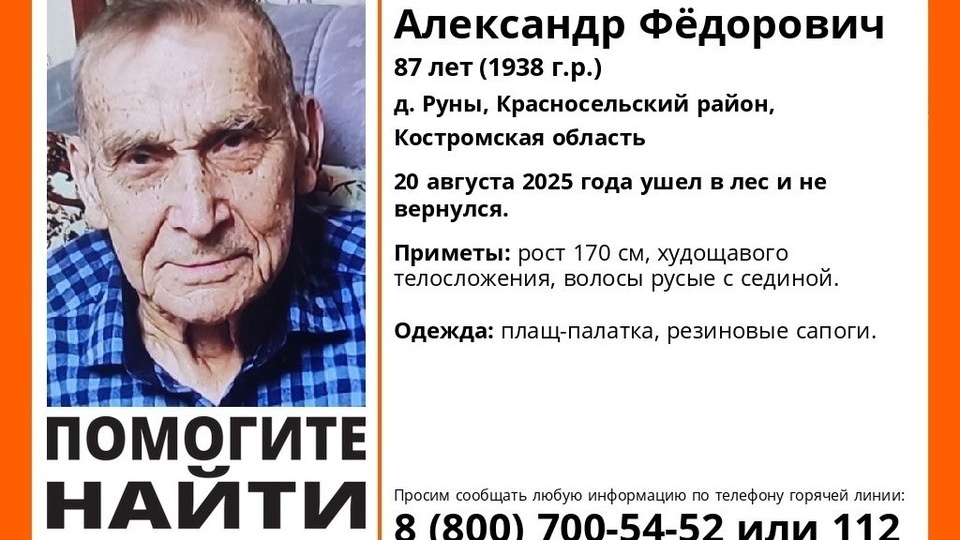 87-летний пенсионер в плаще-палатке сгинул в костромском лесу