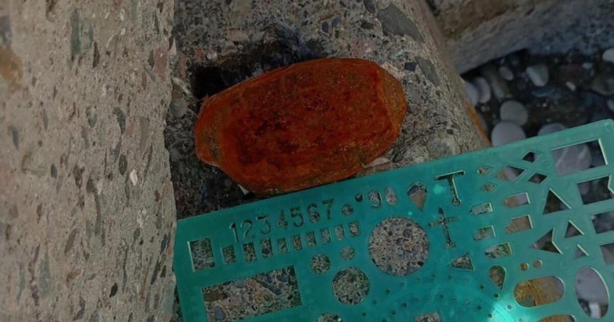 Фото: пресс-служба Росгвардии Краснодарского края