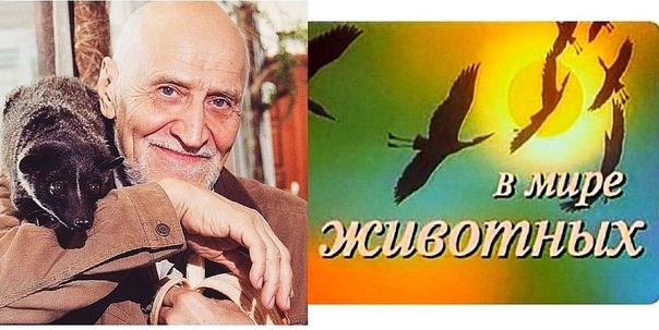 Фото в качестве иллюстрации взято с открытых источников