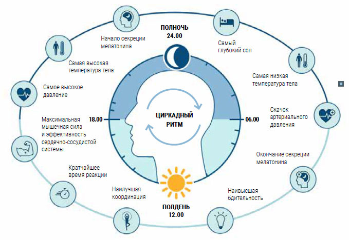 Как восстановить биоритмы после 50