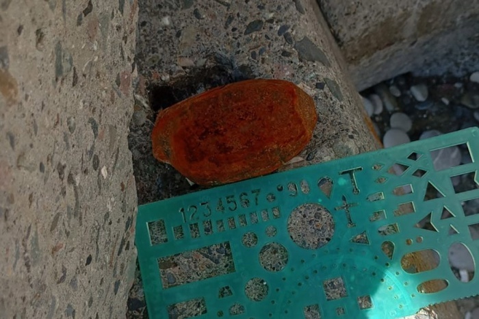    t.me/rosgvard_krasnodar