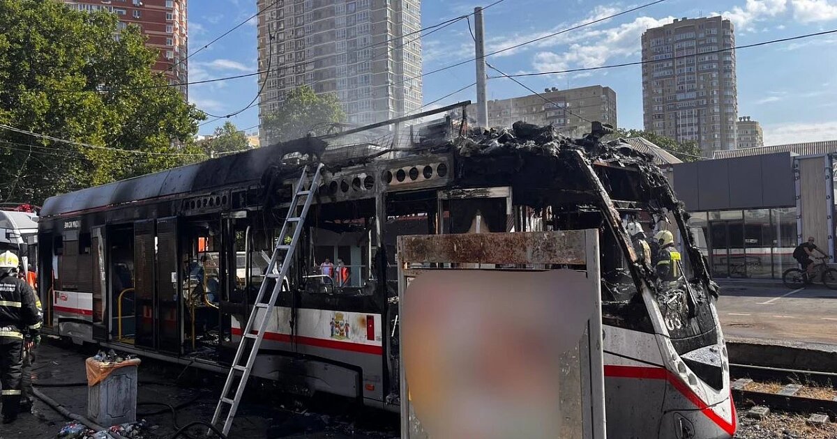 Фото: УМВД России по Краснодару