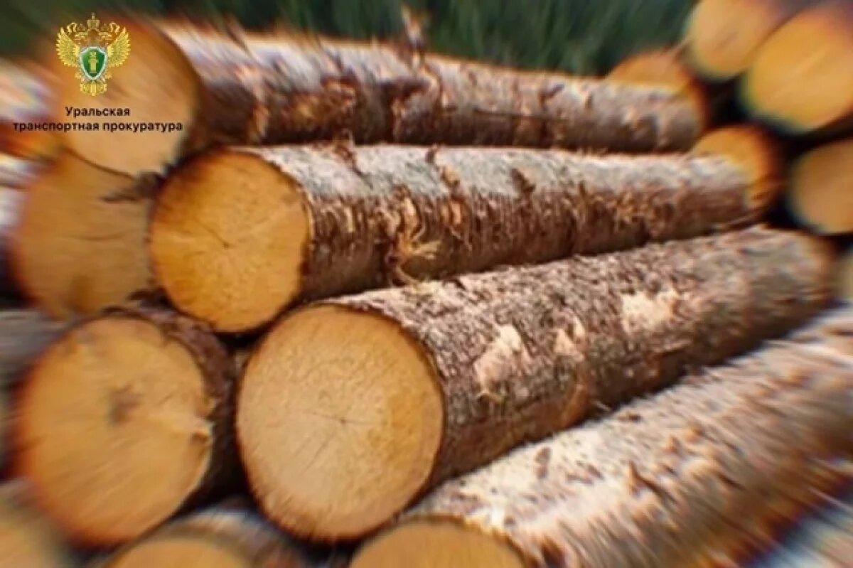    В Тверской области безопасность леса оказалась под угрозой пожара