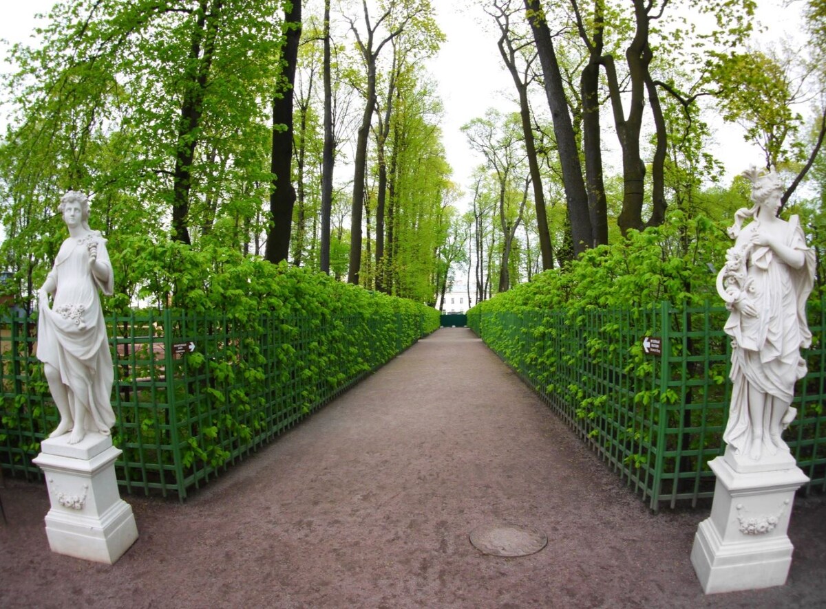 Летний сад. Фото предоставлены Бродягой Пименом с Дзена