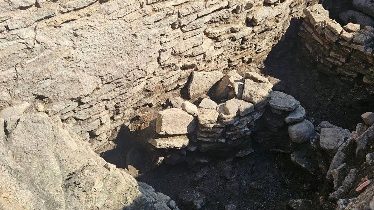     Фото: Александр ДроZденко/Telegram