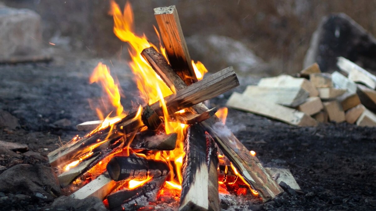    Фото: Clara_Sh/Shutterstock/Fotodom