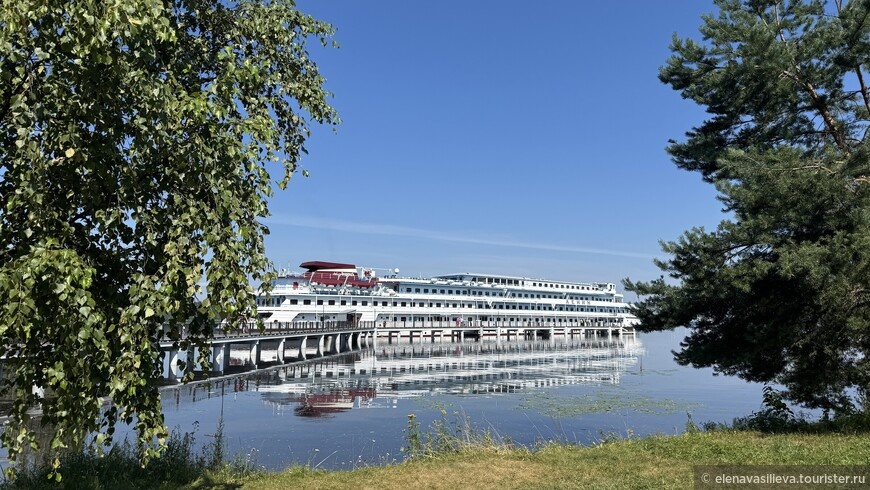 © Елена Васильева