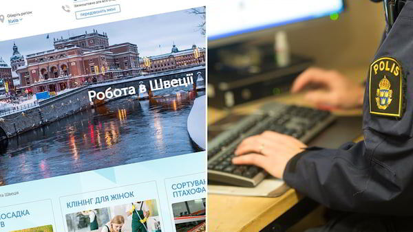    Украинским беженцам понравилось работать в Швеции