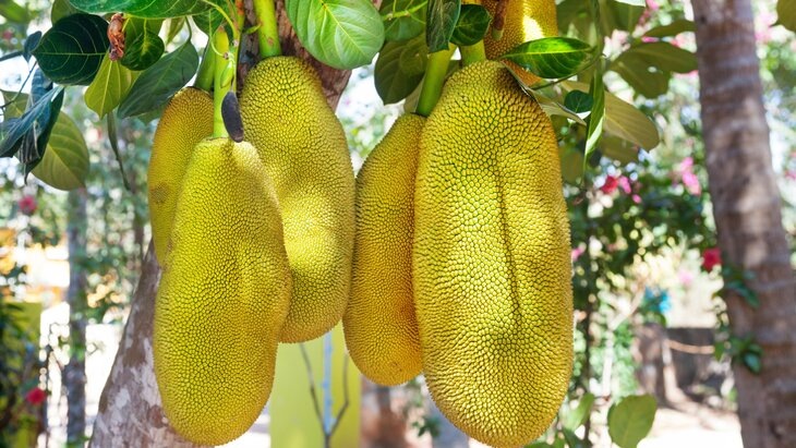 Фото: 123RF/byheaven