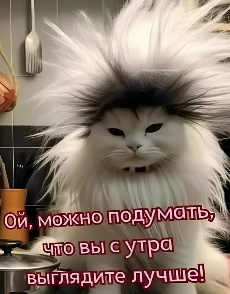 Фото взято из открытых источников интернета 