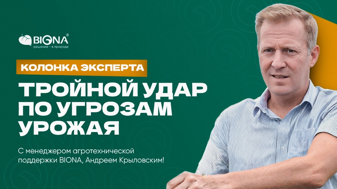 Создать карусель