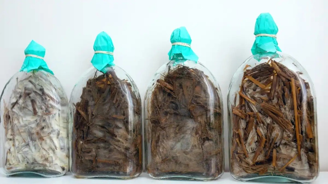 Создать карусельВ препарате «ЭФФЕКТ БИО» заложены три составляющие: биофунгицид, деструктор растительных остатков, формуляция (споровый концентрат)