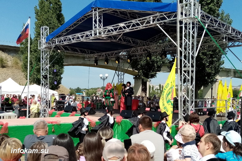    Пушкин на Арбузном фестивале в Камышине