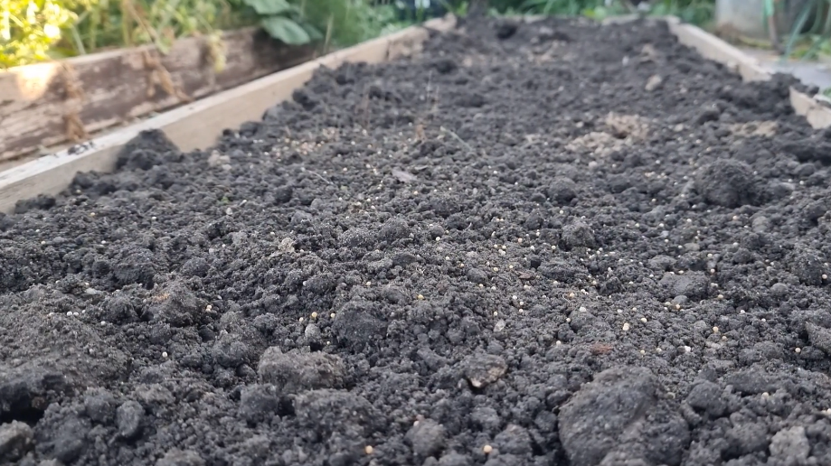 Сейчас, в конце августа, у вас есть последние три недели, чтобы все сделать правильно.