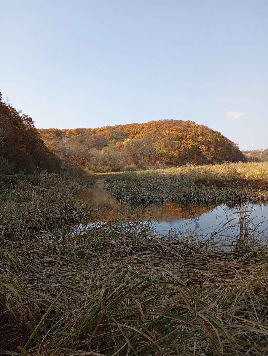 Скоро осень. Фото автора.