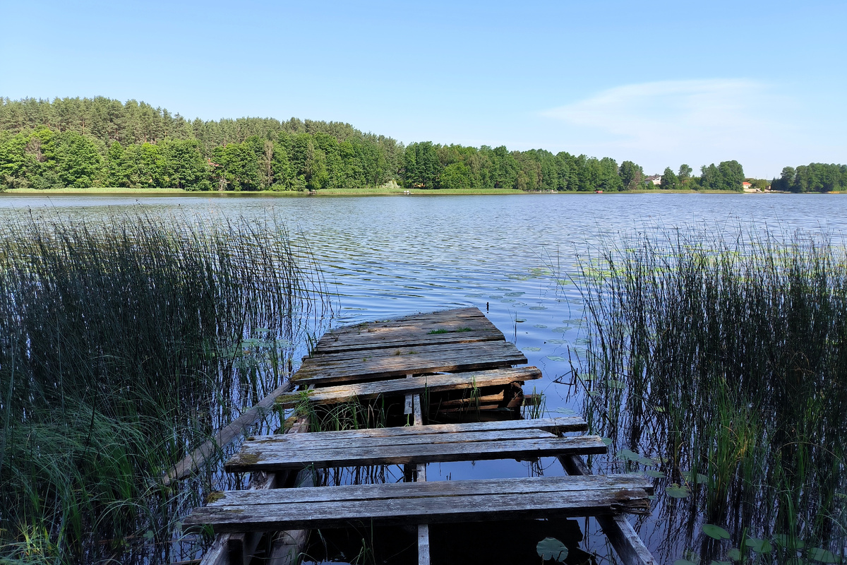 фото: Maksim Konstantinov/Global Look Press