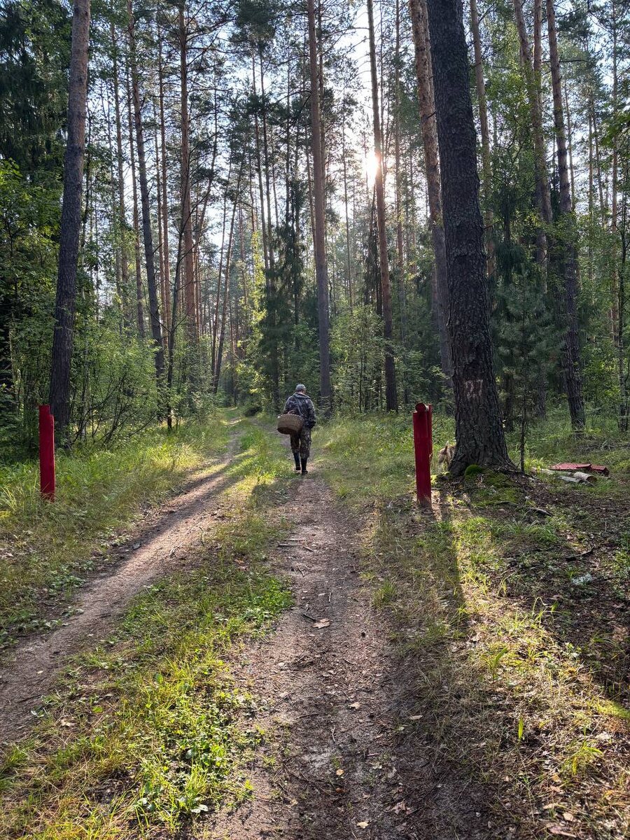 Вот такие ограждения!