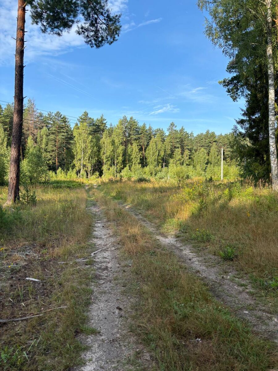 Проходим линию электропередач.
