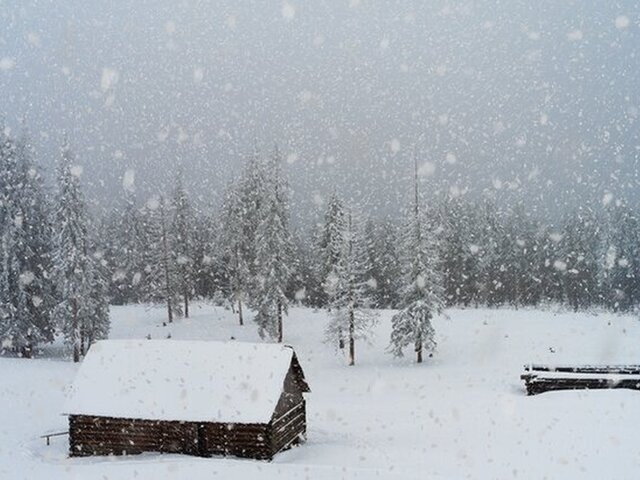    Фото: 123RF/kotenko