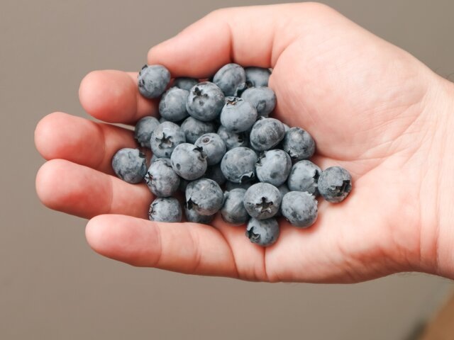    Фото: fireana/123RF