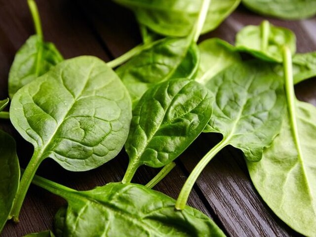    Фото: 123RF/mikeosphoto