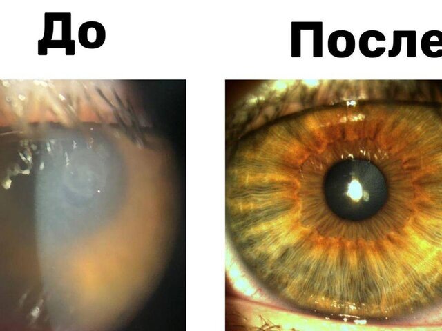    Фото: министерство здравоохранения Московской области/