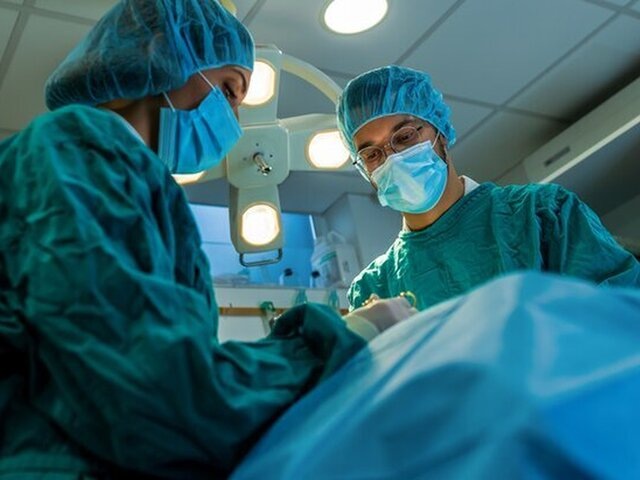    Фото: jovanmandic/123RF