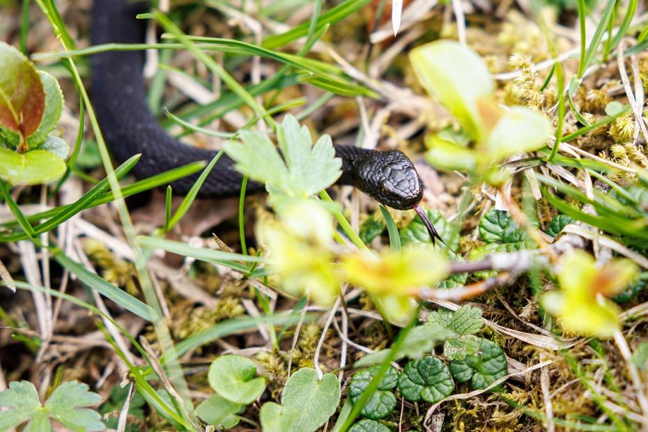    Matthias Balk/dpa/Global Look Press