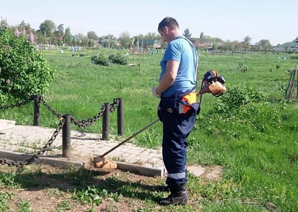    Фото Правительства РО admin