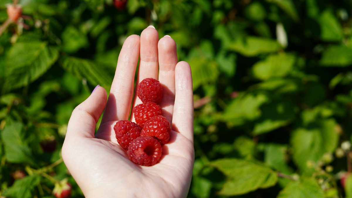 Фото использовано в качестве иллюстрации. Источник Яндекс-картинки