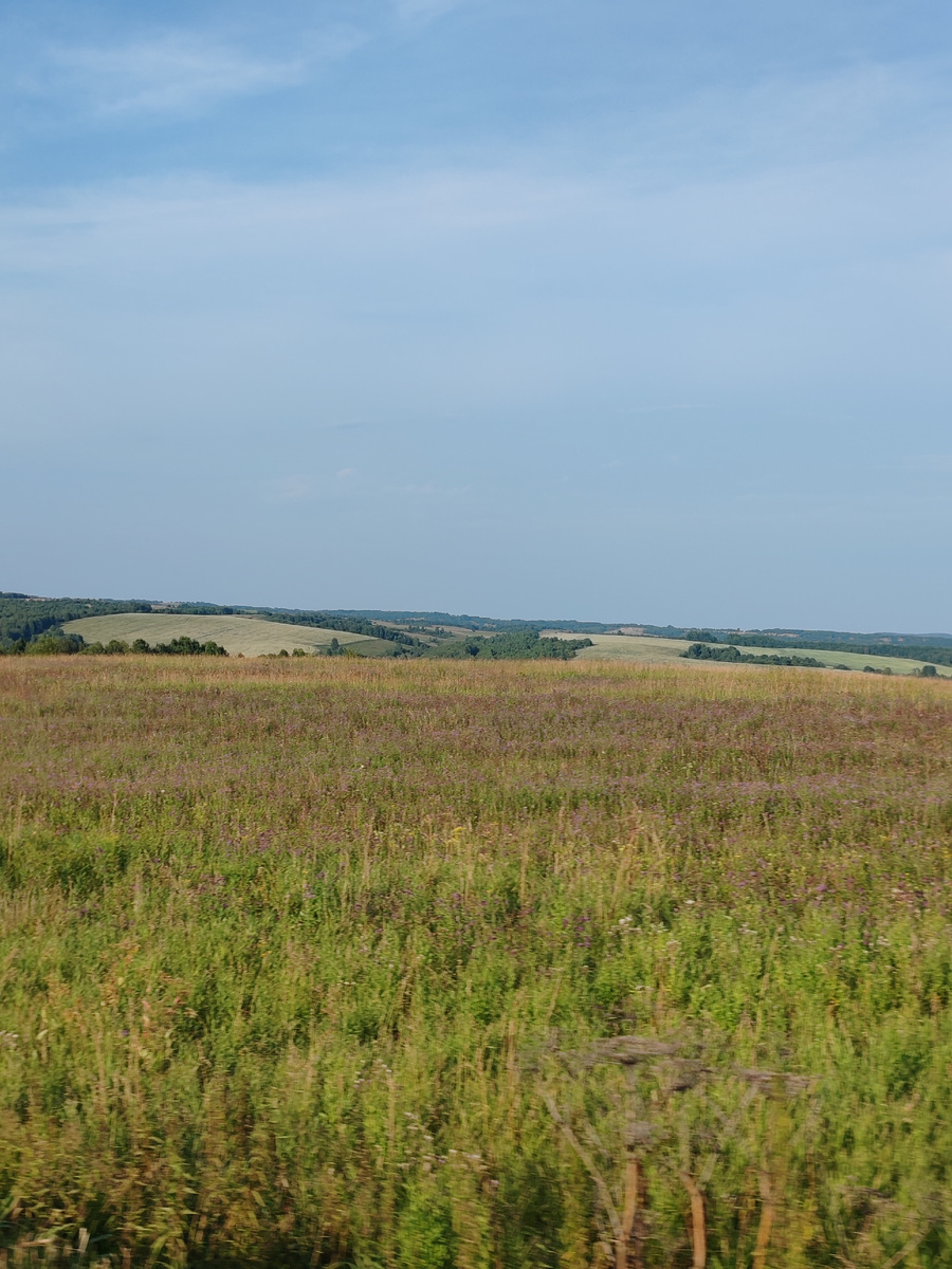 Бескрайние просторы Кузбасса