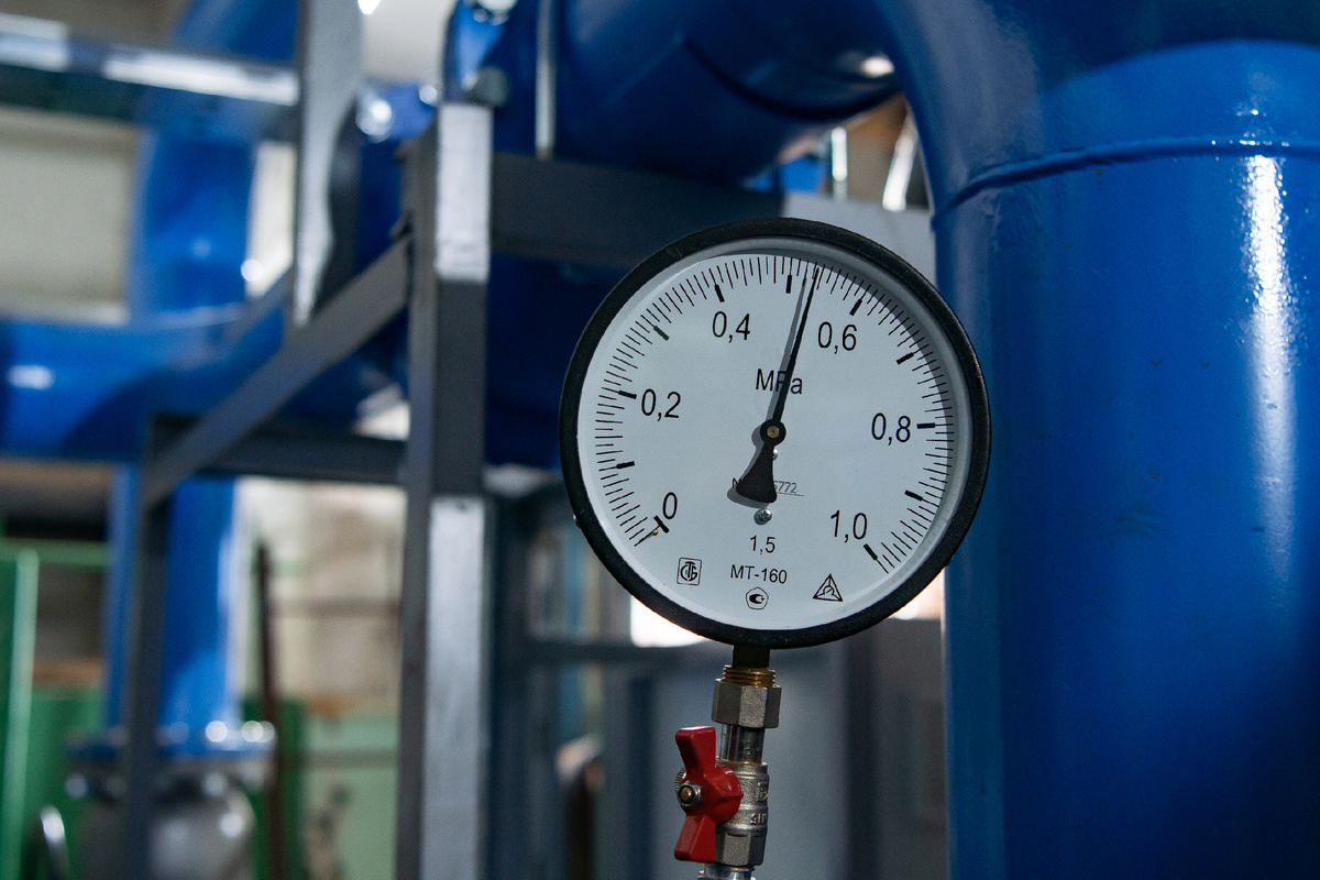 Фото: © Oleg Spiridonov/ Business Online/ Global Look Press