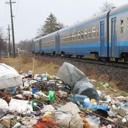 Фото из яндекс