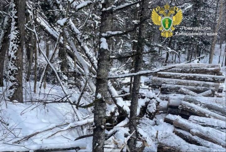    Фото:Пресс-служба прокуратуры Хабаровского края