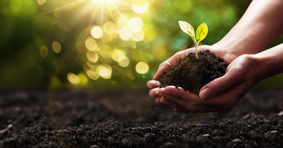 фото из свободного доступа в интернете