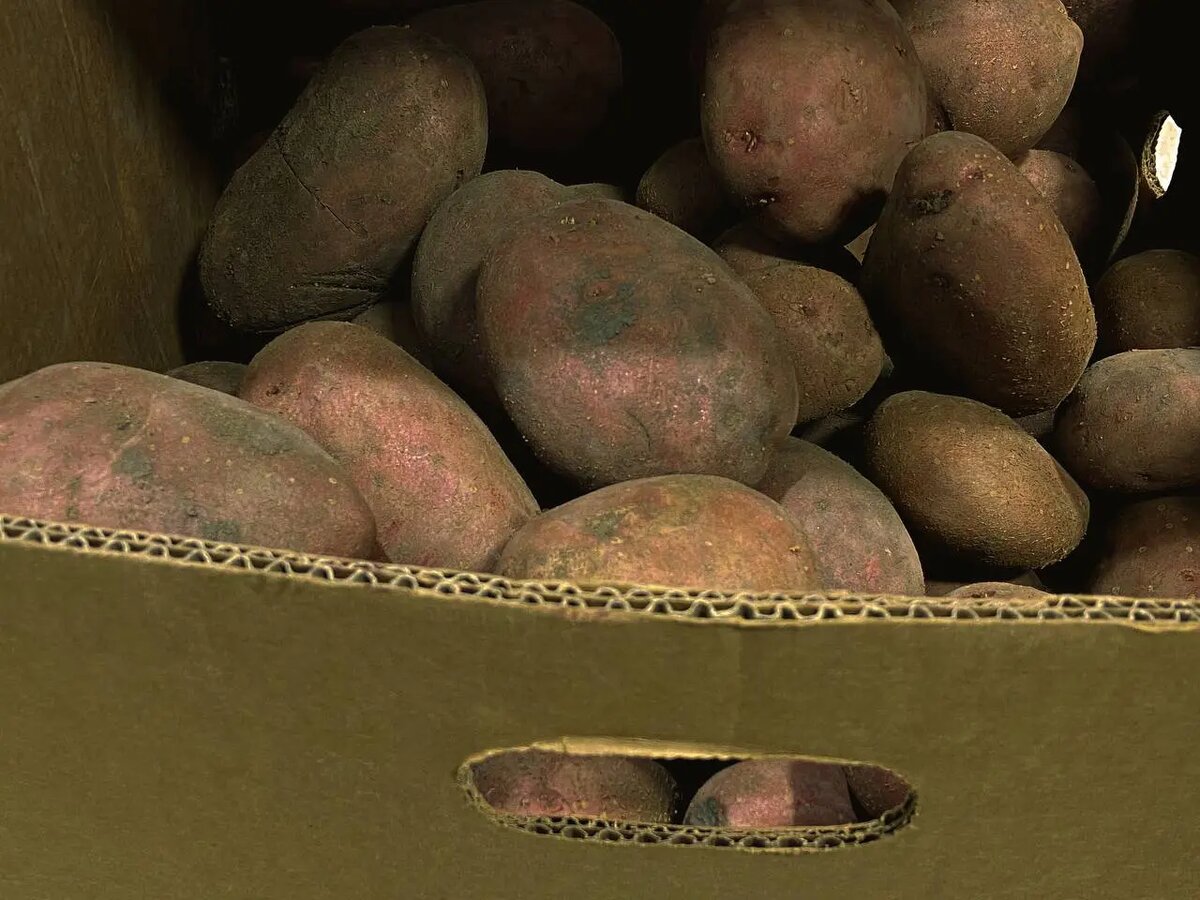    Фото: Мойка78