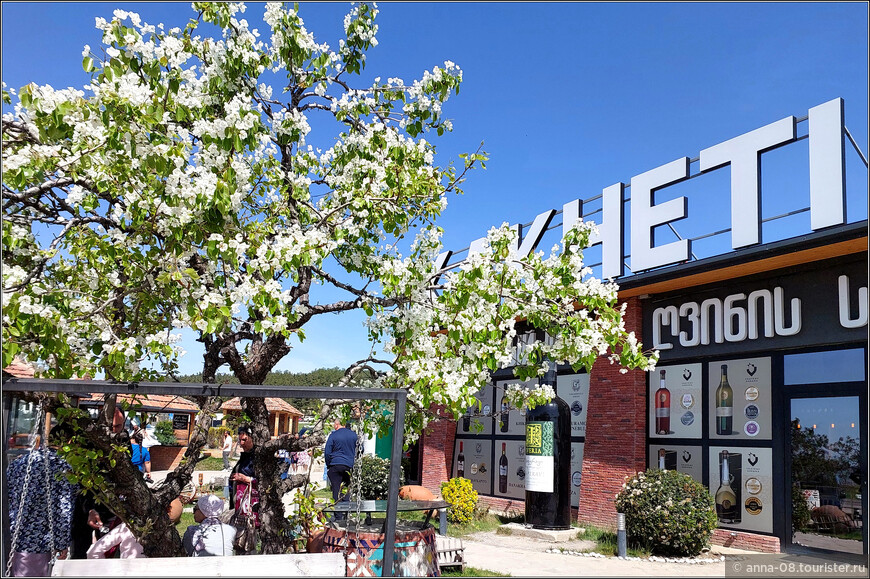 © Анна Кудрявцева