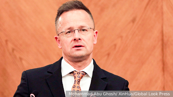     Фото: Mohammad Abu Ghosh/ XinHua/Global Look Press   
 Текст: Вера Басилая