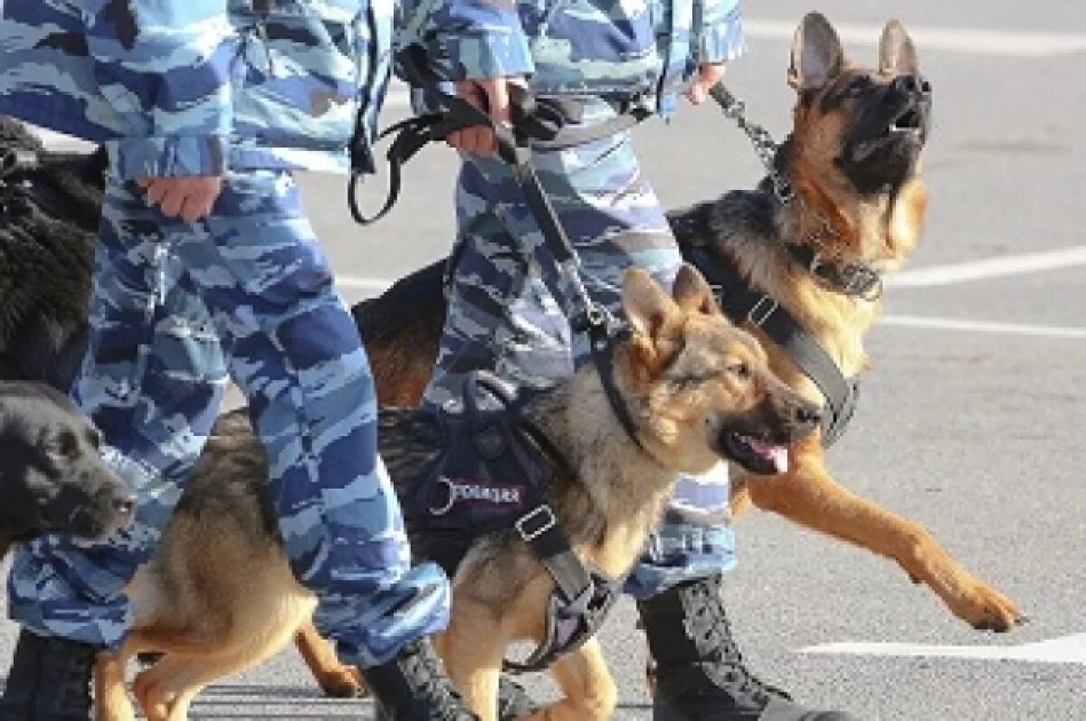    Волгоградцам назвали причину нашествия вооруженных людей в камуфляже